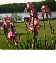 About Montdale Country Club and reviews