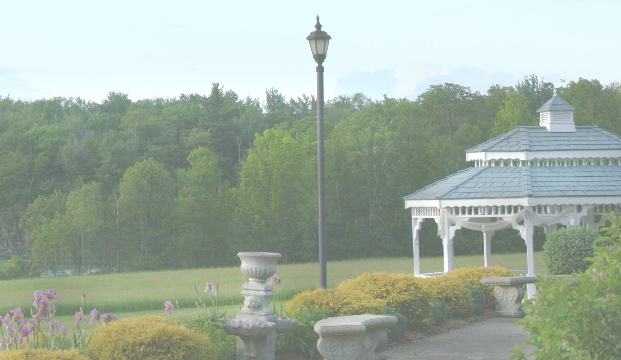 About Montdale Country Club and reviews